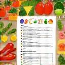 Meal plan sheets with vegetables